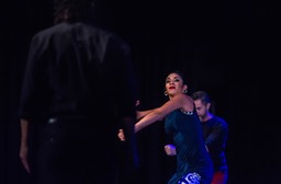 _DSC0263 copie