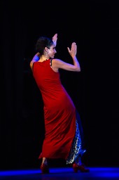 _DSC0368 copie