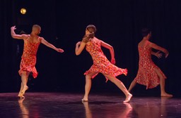 _DSC0823 copie