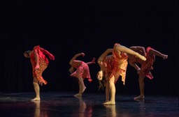 _DSC1002 copie