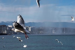 _DSC4816