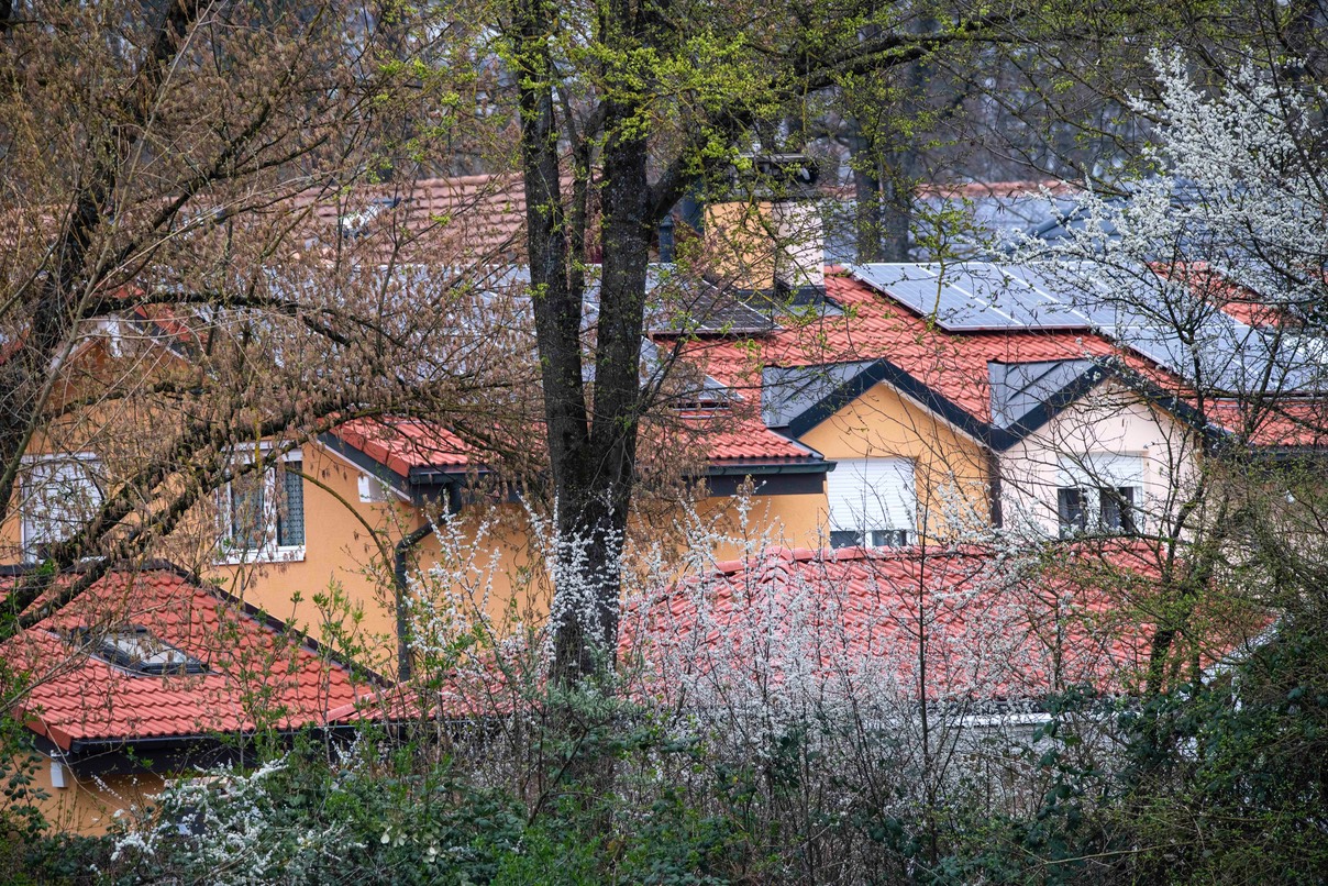 _DSC5006