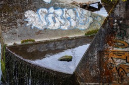 _DSC5027