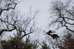 _DSC5087