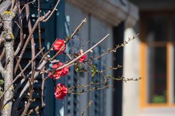 _DSC5141