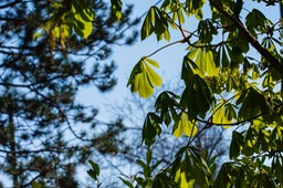 _DSC5344