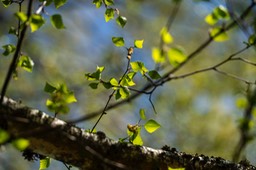 _DSC5447