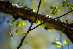 _DSC5449
