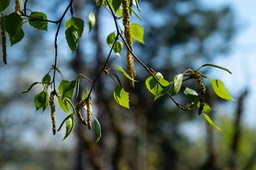 _DSC5481