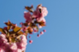 _DSC5551