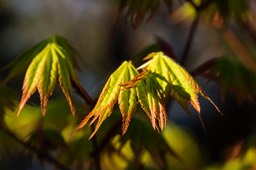 _DSC5563