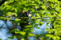 _DSC5591