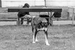 _DSC5610 copie
