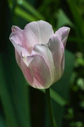 _DSC5633
