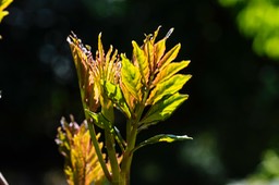 _DSC5653