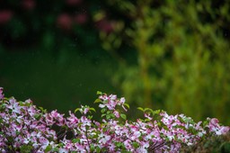 _DSC5727