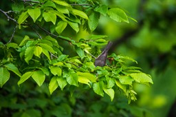 _DSC5734