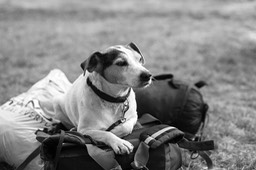 _DSC5801 copie