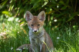 _DSC5882