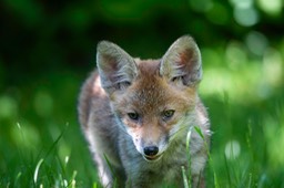 _DSC5896