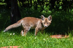 _DSC5944