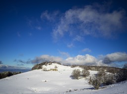 B0003851