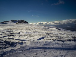 B0003857