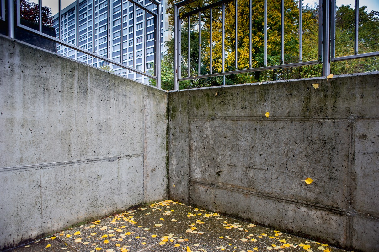 DSC_2566