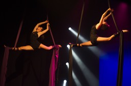 DSC_6613 copie