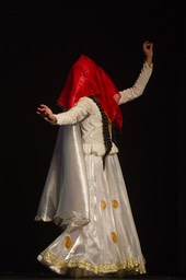 DSC_7019 copie