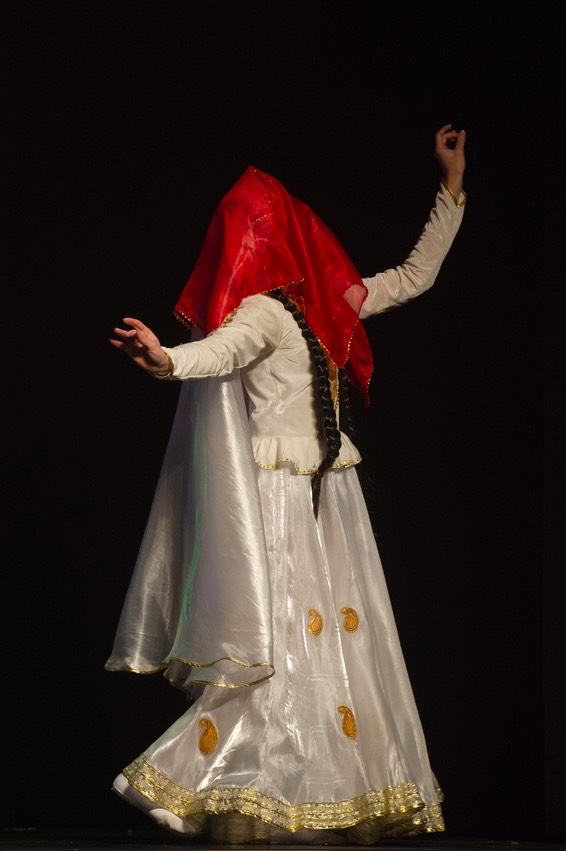 DSC_7019 copie