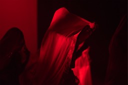 DSC_7186-