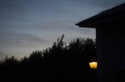 DSC_8407