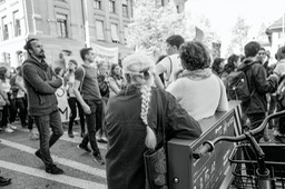 L1130794