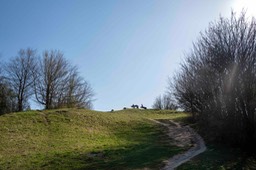 L1160544