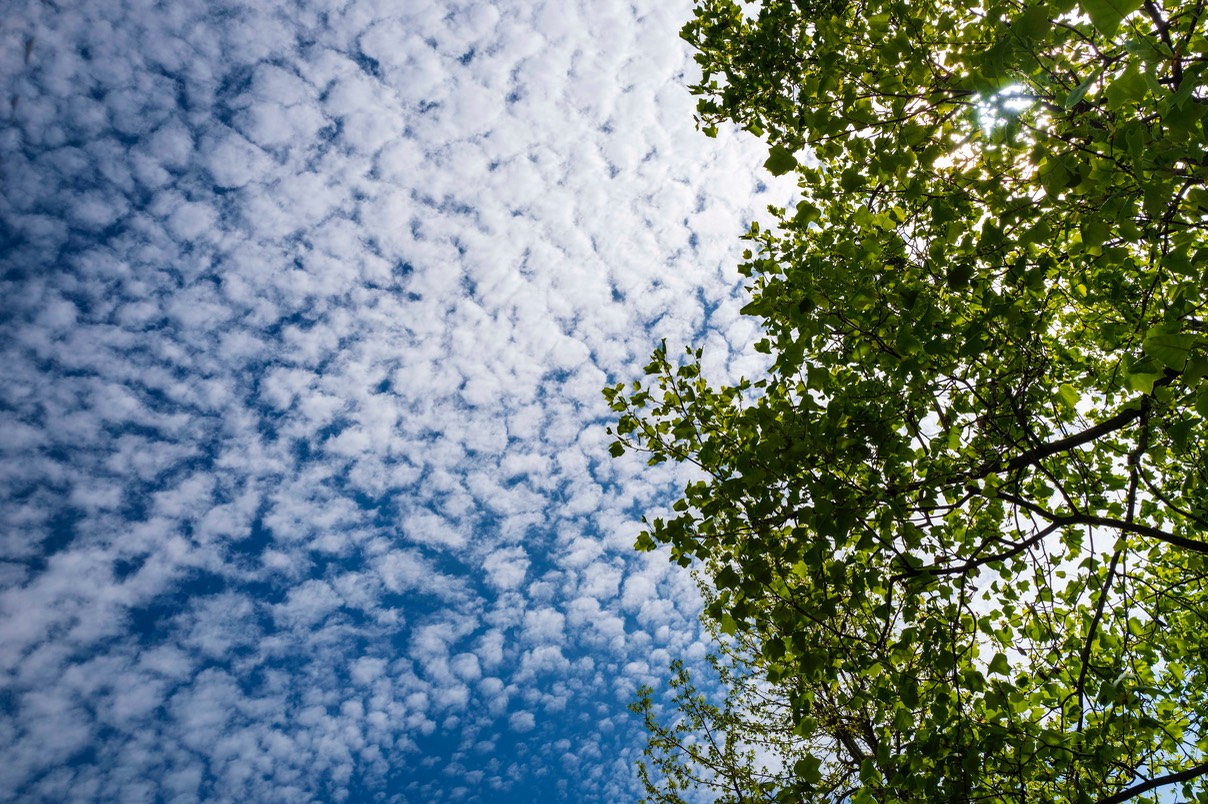 L1170114