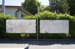 Photo_1