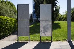 Photo_11