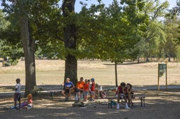 Photo_15