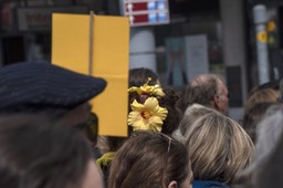 Photo_16