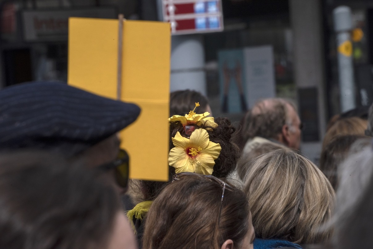 Photo_16