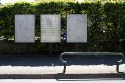 Photo_17