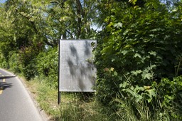Photo_18