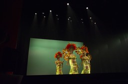 Photo_28