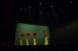 Photo_29