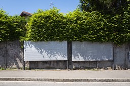 Photo_3