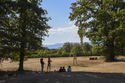 Photo_46