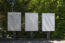 Photo_4