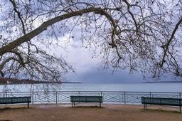 Photo_4