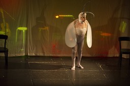 Photo_47